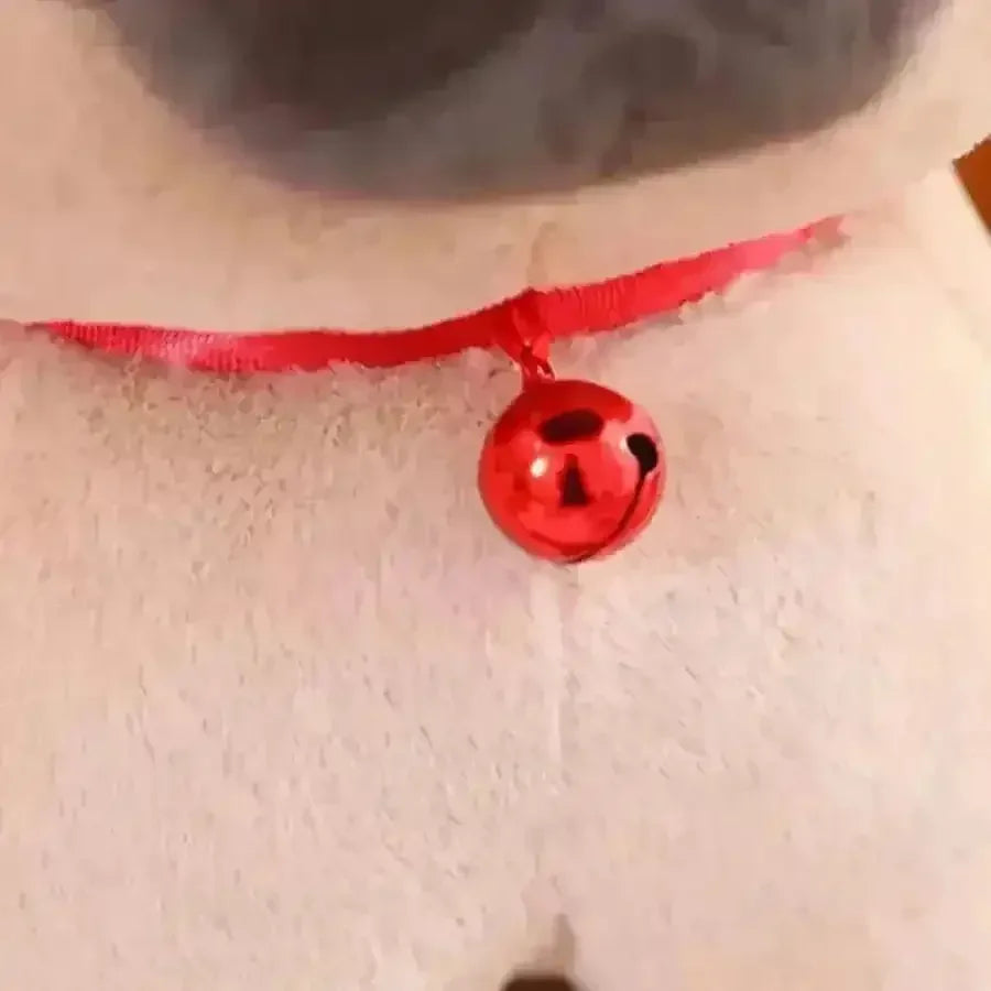 Cute Pug Dog Plushie (40 cm) - Bear Hugs