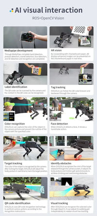 Dogzilla AI Programmable Robot Dog - S1 & S2 Model - Bear Hugs