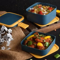 Duo Decker Double Layer Tiffin Box - Bear Hugs