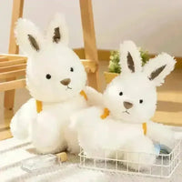 Fluffy Rabbit Carrot Backpack Plush Toy - Bear Hugs
