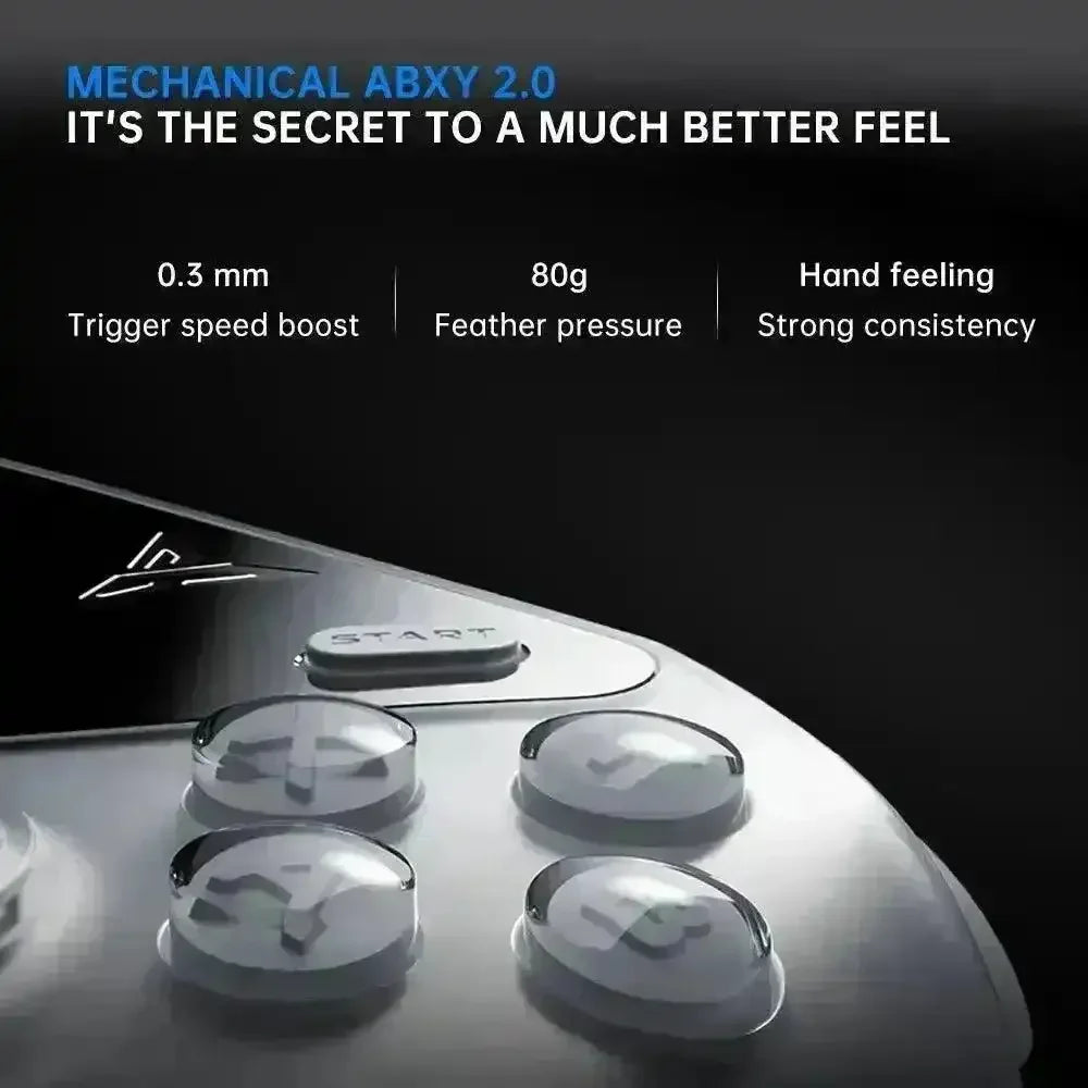 Flydigi APEX 4 Wireless Gaming Controller - Bear Hugs