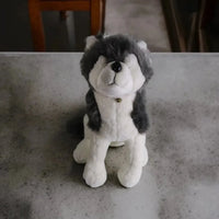 Furry Husky Plush Toy (80 cm) - Bear Hugs