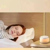 Glow-in-Dark Sleep Training Speaker - Bear Hugs