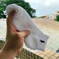 Horse Ride Premium Men's Socks (Pair of 2) - Bear Hugs