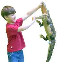 Hyper Real Giant Crocodile Plushie (60 cm) - Bear Hugs