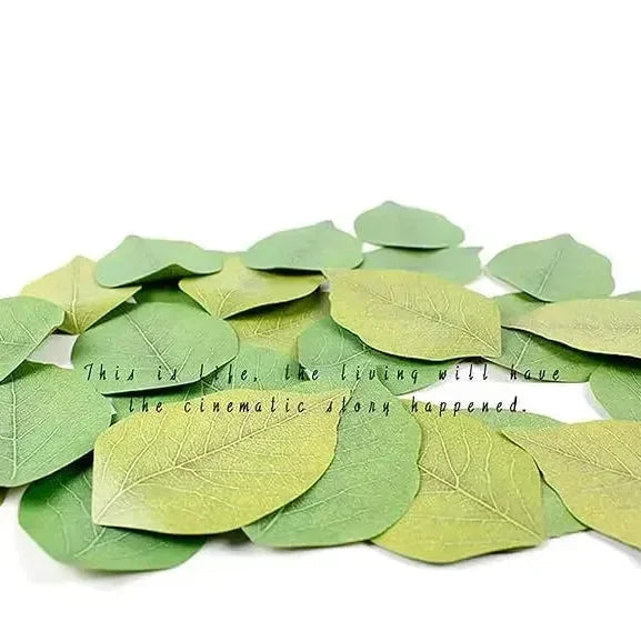 Leaf Creative Sticky Notes - Bear Hugs