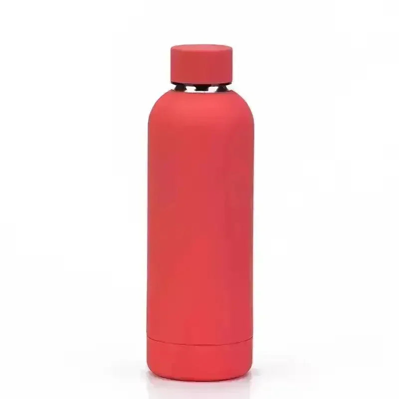 Matt Finish Stainless Steel Water Bottle (500 ml) - Bear Hugs