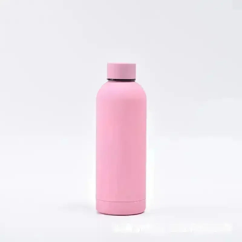 Matt Finish Stainless Steel Water Bottle (500 ml) - Bear Hugs