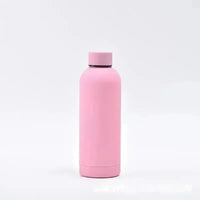 Matt Finish Stainless Steel Water Bottle (500 ml) - Bear Hugs