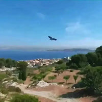 MetaBird Bionic Remote Controlled Bird - Bear Hugs