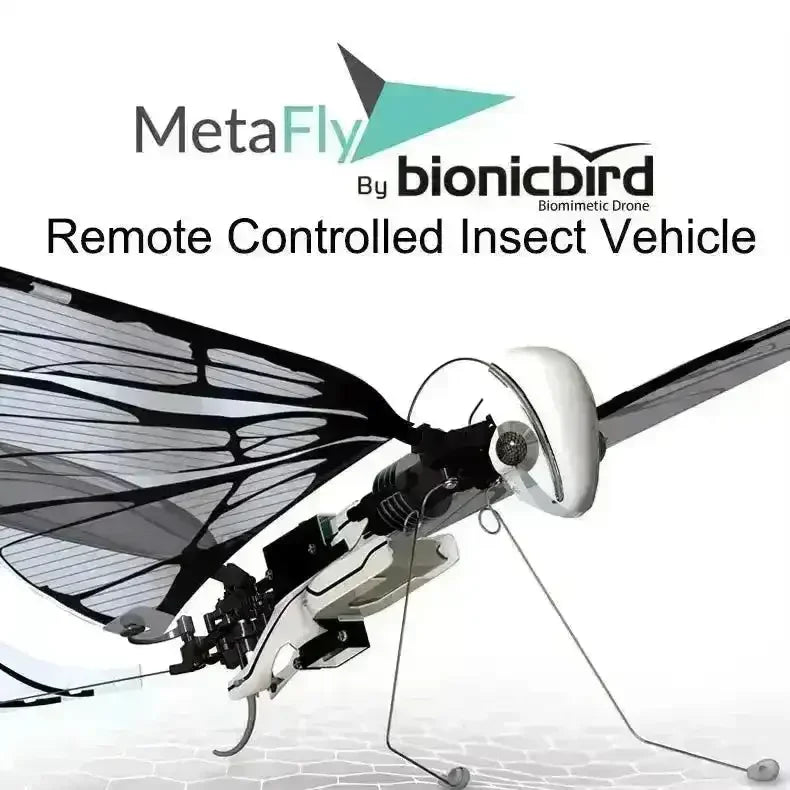MetaFly Bionic Remote Controlled Insect - Bear Hugs