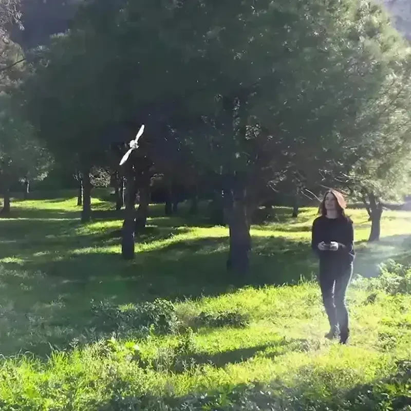 MetaFly Bionic Remote Controlled Insect - Bear Hugs