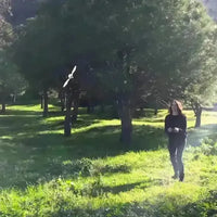 MetaFly Bionic Remote Controlled Insect - Bear Hugs