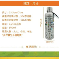 Minecraft My World Insulated Bottle (500 ml) - Bear Hugs