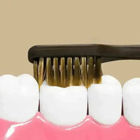 Monogram Luxury Toothbrush Set - Bear Hugs