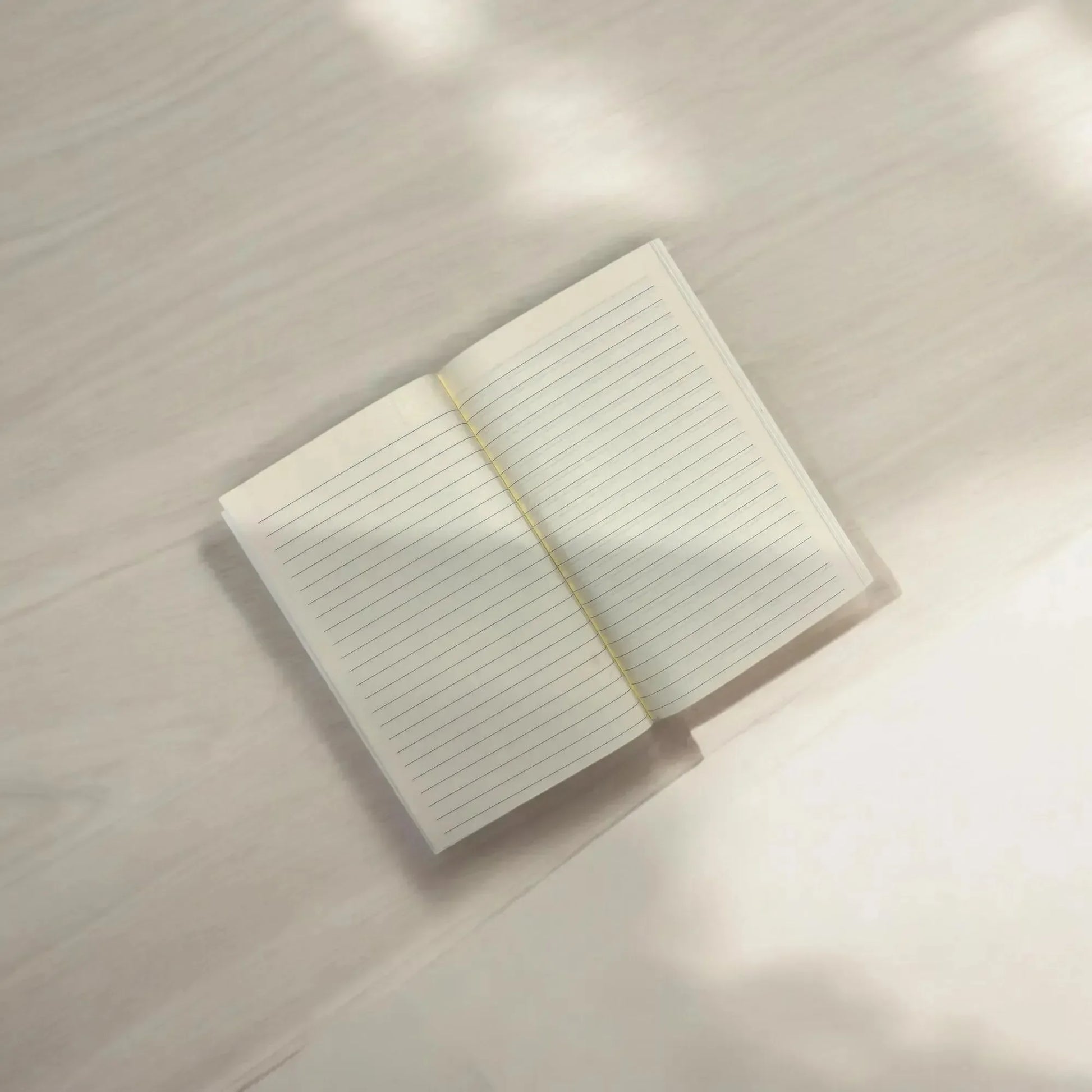 Netflix And Chill A5 Notebook - Bear Hugs