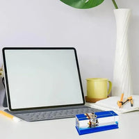 One Piece Grand Line Drifter Paperweight - Bear Hugs