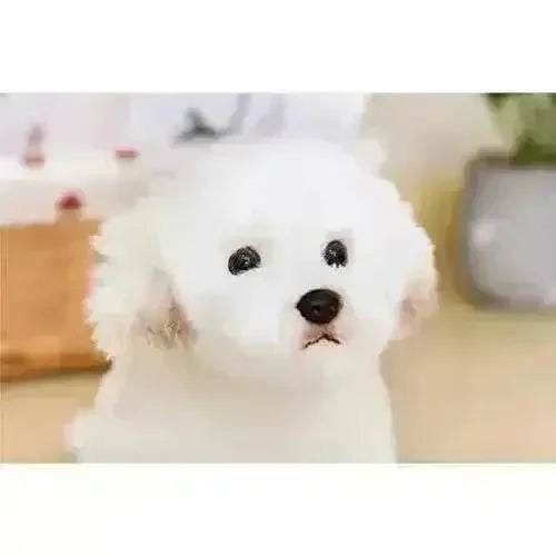24 cm Real-like Maltese Dog Plush