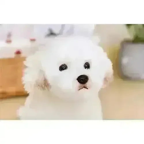 24 cm Real-like Maltese Dog Plush - Main Image