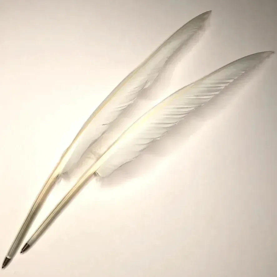 Realistic Goose Feather Pen - Bear Hugs