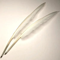 Realistic Goose Feather Pen - Bear Hugs