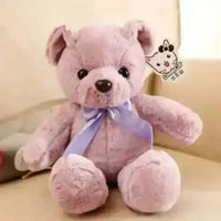 Ribbon Tie Stuffed Teddy (35 cm) - Bear Hugs