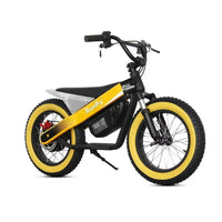 Runfly Blaze ET-01 Max Plus Electric Bike - Bear Hugs