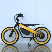 Runfly Blaze ET-01 Max Plus Electric Bike - Bear Hugs