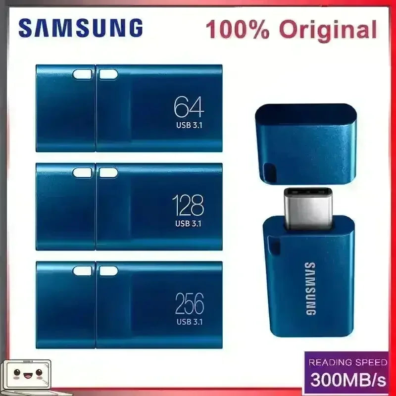 Samsung Type-C USB 3.1 Flash Drive - Bear Hugs