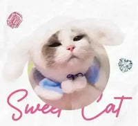 Sanrio Fluffy Cat Hat For Pets - Bear Hugs