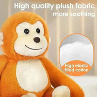 Soft Hide & Seek Animal Plush Toy (35 cm) - Bear Hugs