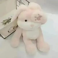 Soft Hide & Seek Animal Plush Toy (35 cm) - Bear Hugs