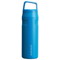 Stanley IceFlow Aerolight Bottle (16 oz) - Bear Hugs