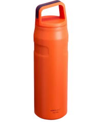 Stanley IceFlow Aerolight Bottle (16 oz) - Bear Hugs