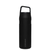 Stanley IceFlow Aerolight Bottle (16 oz) - Bear Hugs