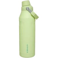 Stanley IceFlow Aerolight Bottle (16 oz) - Bear Hugs