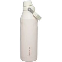 Stanley IceFlow Aerolight Bottle (16 oz) - Bear Hugs