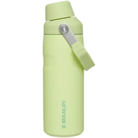 Stanley IceFlow Aerolight Bottle (16 oz) - Bear Hugs