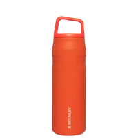 Stanley IceFlow Aerolight Bottle (16 oz) - Bear Hugs