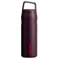 Stanley IceFlow Aerolight Bottle (16 oz) - Bear Hugs