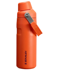 Stanley IceFlow Aerolight Bottle (16 oz) - Bear Hugs