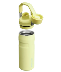 Stanley IceFlow Aerolight Bottle (16 oz) - Bear Hugs