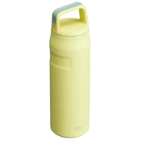 Stanley IceFlow Aerolight Bottle (16 oz) - Bear Hugs
