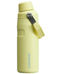 Stanley IceFlow Aerolight Bottle (16 oz) - Bear Hugs