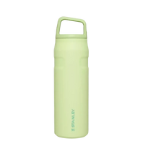 Stanley IceFlow Aerolight Bottle (16 oz) - Bear Hugs