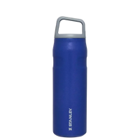 Stanley IceFlow Aerolight Bottle (16 oz) - Bear Hugs