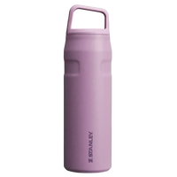 Stanley IceFlow Aerolight Bottle (16 oz) - Bear Hugs