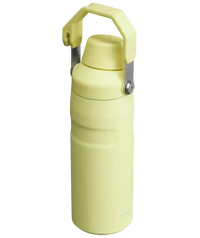 Stanley IceFlow Aerolight Bottle (16 oz) - Bear Hugs