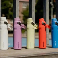 Stanley IceFlow Aerolight Bottle (16 oz) - Bear Hugs