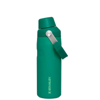 Stanley IceFlow Aerolight Bottle (16 oz) - Bear Hugs